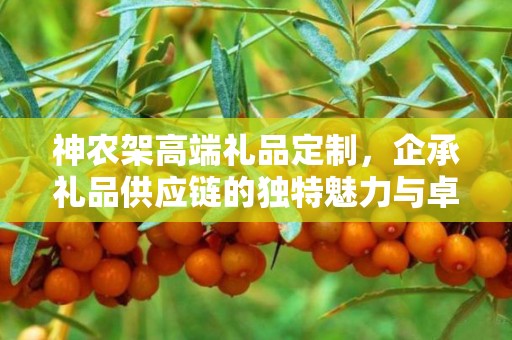 神农架高端礼品定制，企承礼品供应链的独特魅力与卓越服务