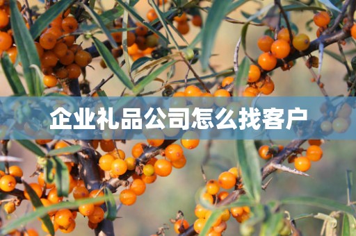 企业礼品公司怎么找客户