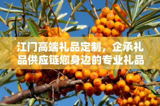 江门高端礼品定制，企承礼品供应链您身边的专业礼品定制公司