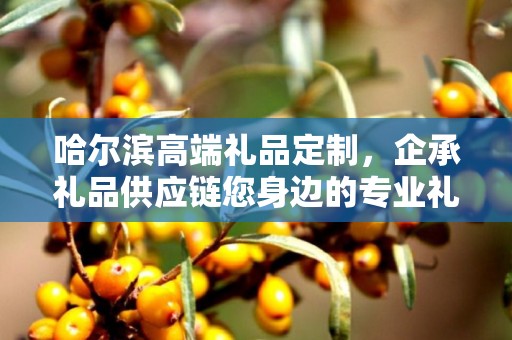哈尔滨高端礼品定制，企承礼品供应链您身边的专业礼品定制公司