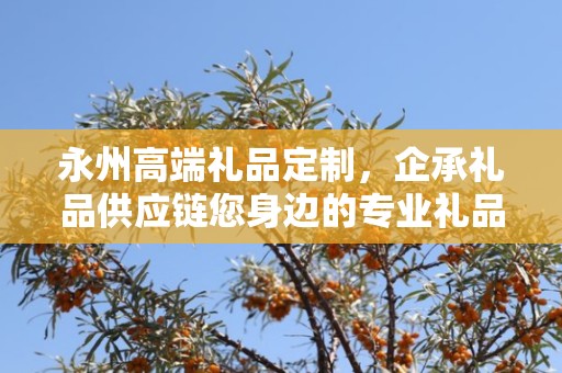 永州高端礼品定制，企承礼品供应链您身边的专业礼品定制公司