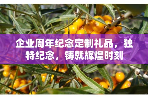 企业周年纪念定制礼品，独特纪念，铸就辉煌时刻