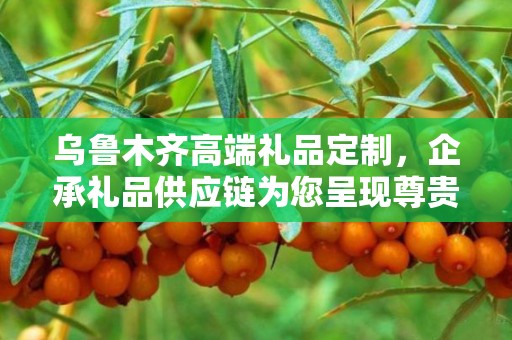 乌鲁木齐高端礼品定制，企承礼品供应链为您呈现尊贵之选
