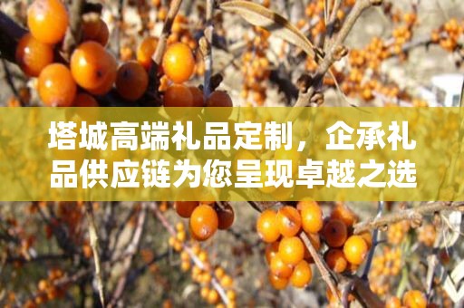 塔城高端礼品定制，企承礼品供应链为您呈现卓越之选