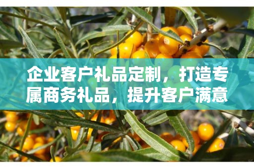 企业客户礼品定制，打造专属商务礼品，提升客户满意度