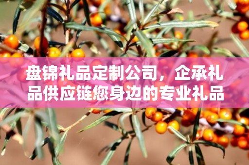 盘锦礼品定制公司，企承礼品供应链您身边的专业礼品定制公司