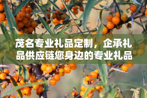 茂名专业礼品定制，企承礼品供应链您身边的专业礼品定制公司