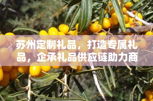 苏州定制礼品，打造专属礼品，企承礼品供应链助力商务之选