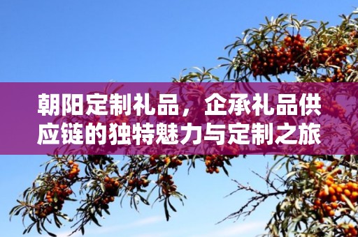 朝阳定制礼品，企承礼品供应链的独特魅力与定制之旅