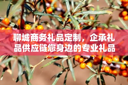 聊城商务礼品定制，企承礼品供应链您身边的专业礼品定制公司