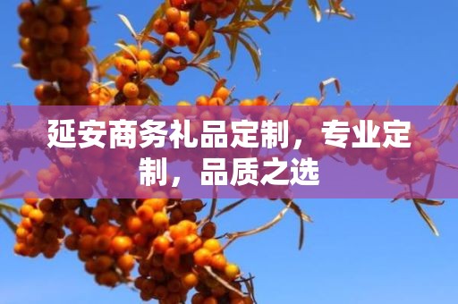 延安商务礼品定制，专业定制，品质之选