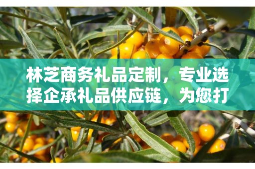林芝商务礼品定制，专业选择企承礼品供应链，为您打造独特商务礼品