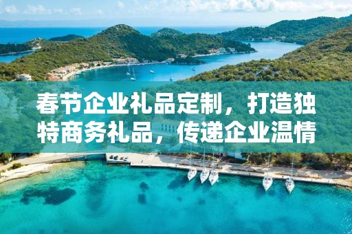 春节企业礼品定制，打造独特商务礼品，传递企业温情