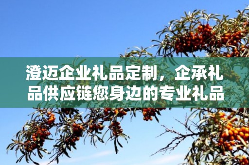 澄迈企业礼品定制，企承礼品供应链您身边的专业礼品定制公司