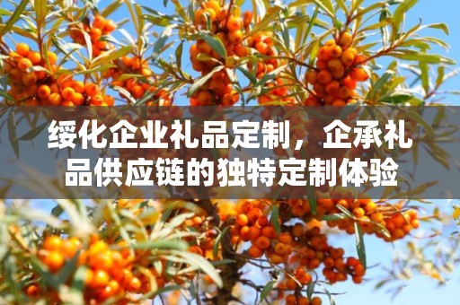 绥化企业礼品定制，企承礼品供应链的独特定制体验