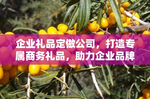 企业礼品定做公司，打造专属商务礼品，助力企业品牌发展