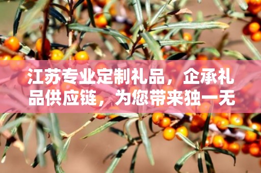 江苏专业定制礼品，企承礼品供应链，为您带来独一无二的礼品定制体验