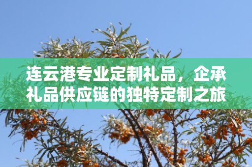 连云港专业定制礼品，企承礼品供应链的独特定制之旅