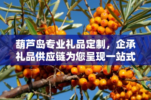 葫芦岛专业礼品定制，企承礼品供应链为您呈现一站式定制服务