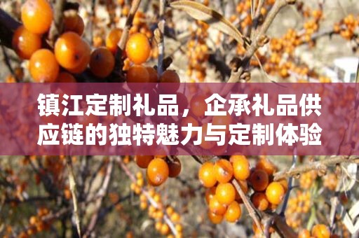 镇江定制礼品，企承礼品供应链的独特魅力与定制体验