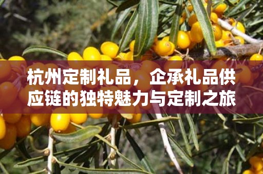 杭州定制礼品，企承礼品供应链的独特魅力与定制之旅