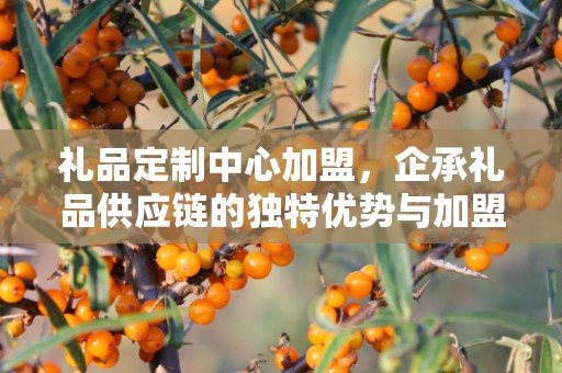 礼品定制中心加盟，企承礼品供应链的独特优势与加盟前景