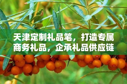 天津定制礼品笔，打造专属商务礼品，企承礼品供应链助力品质升级