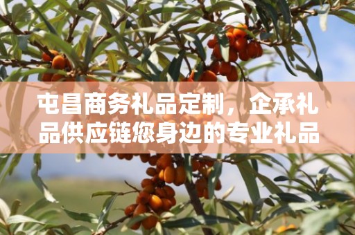 屯昌商务礼品定制，企承礼品供应链您身边的专业礼品定制公司