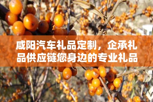 无锡礼品定制酒，企承礼品的独特魅力与定制之旅
