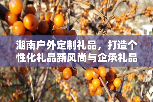 湖南户外定制礼品，打造个性化礼品新风尚与企承礼品供应链的完美结合